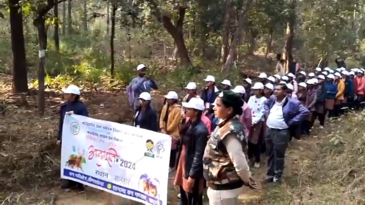 स्कूली बच्चों का जंगल भ्रमण: वन्य प्राणी, पक्षी दर्शन, पेड़ों और जड़ी बूटियां की मिली जानकारी