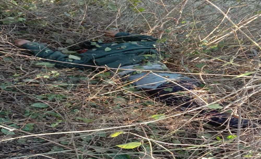 दर्दनाक सड़क हादसाः मॉर्निंग वॉक से लौट रहे दो सगे भाइयों को कार ने मारी टक्कर, घटनास्थल पर ही मौत