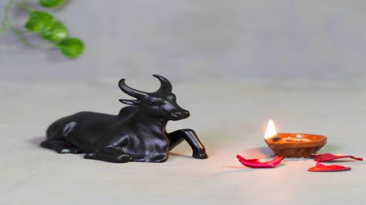 Vastu Tips : क्या घर में रखनी चाहिए नंदी की मूर्ति ?, जाने इस बारे में क्या कहता है Vaastu Shaastra