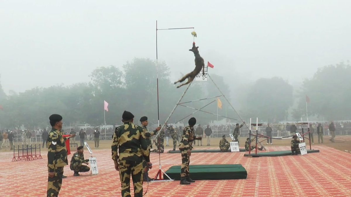 Republic Day 2024: डॉग स्क्वाड के कारनामे देख उड़े होश, देश के इस इंस्टीट्यूट ने तैयार किए 10 हजार से ज्यादा ‘खूंखार जांबाज’