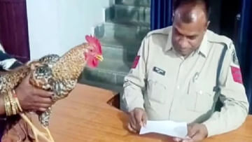 पंजाब : एक मुर्गे ने बढ़ा दी पुलिस की टेंशन