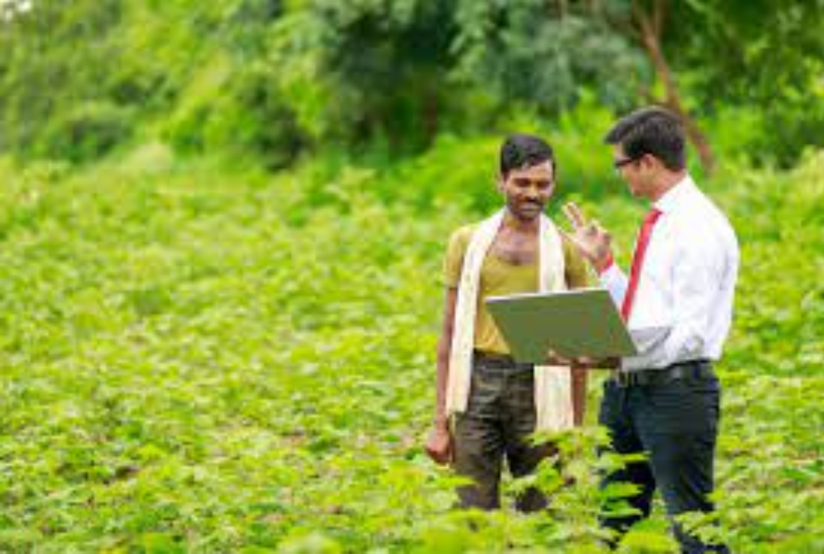 Agriculture Advice: छत्तीसगढ़ में बागवानी करने वाले किसानों को सलाह, आलू बैंगन की बुवाई से पहले कर लें ये….
