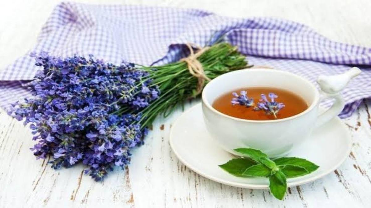 Health Tips : सर्दियों में लैवेंडर टी पीना है बहुत फायदेमंद, यहां जाने इसे बनाने का तरीका