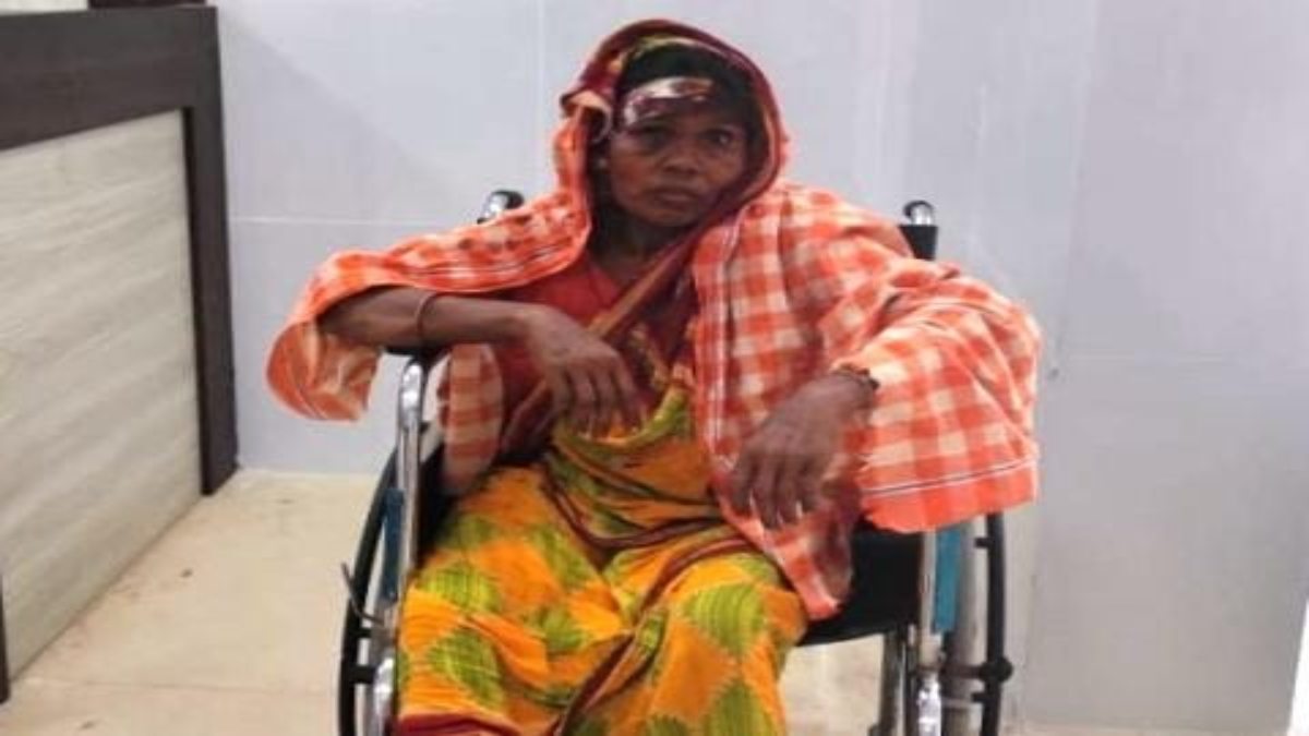 Odisha News : जंगल गई वृद्धा पर जंगली सूअर ने किया हमला, महिला गंभीर रूप से घायल