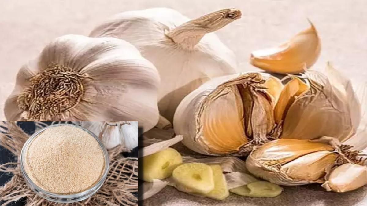 Garlic Seasoning : लहसुन के छिलके को आप भी वेस्ट समझ कर फेंक देते हैं, तो अब छिलकों से बनाए लहसुन सीज़निंग