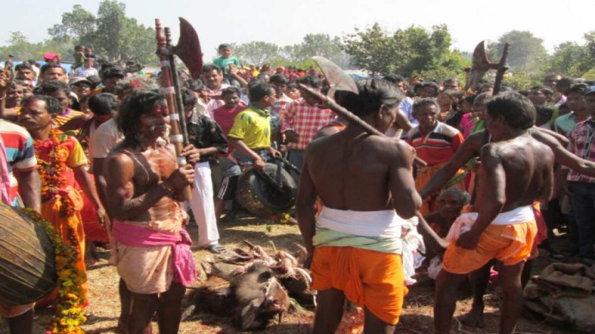 Odisha News : आज से बलांगीर में प्रसिद्ध आदिवासी त्योहार ‘सुलिया जात्रा’ की हुई शुरुआत, दी जाएगी जानवरों की सामूहिक बलि …