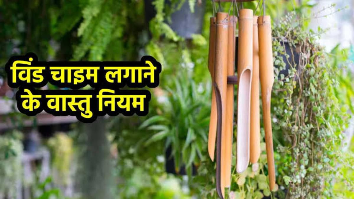 Vastu Tips : विंड चाइम्स की मधुर ध्वनि मन को देती है सुकून, यहां जाने इसे घर और ऑफिस में लगाने की सही दिशा