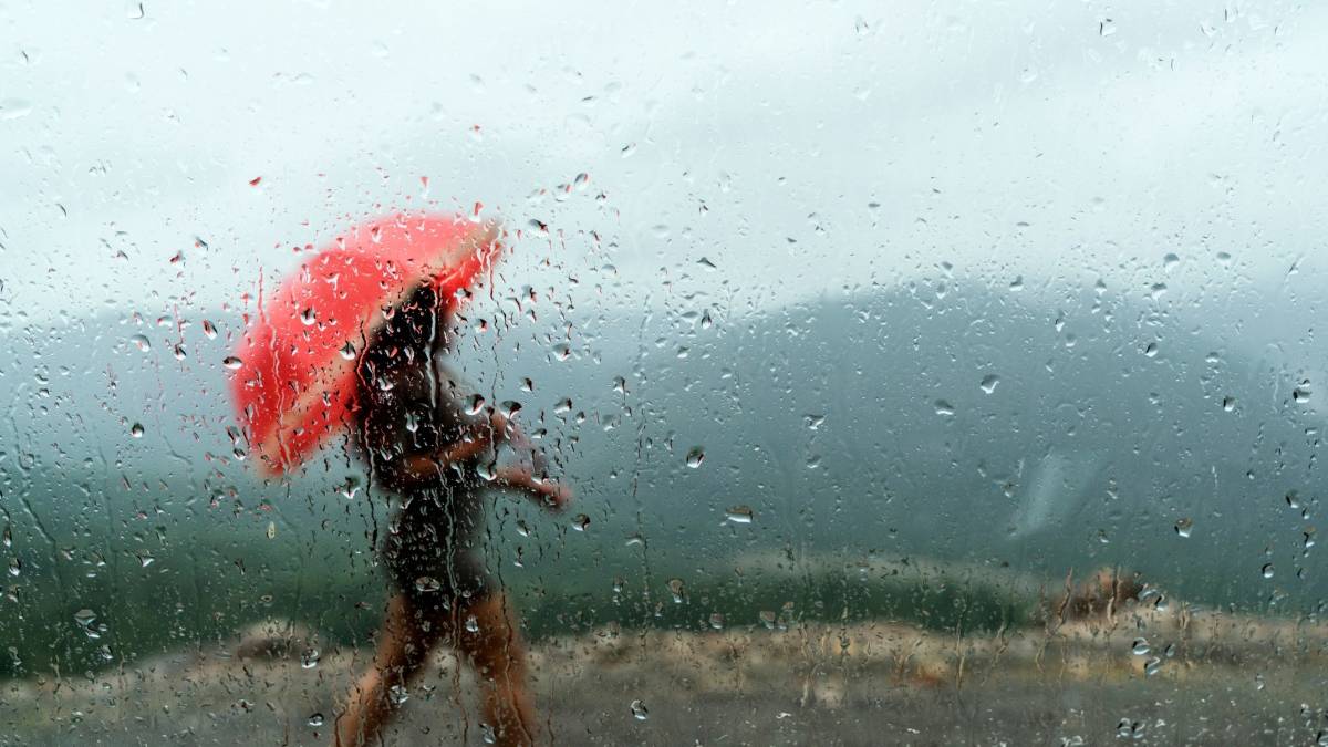 WEATHER UPDATE : प्रदेश में घने कोहरे से सामान्य जनजीवन अस्त-व्यस्त, हल्की बारिश की संभावना