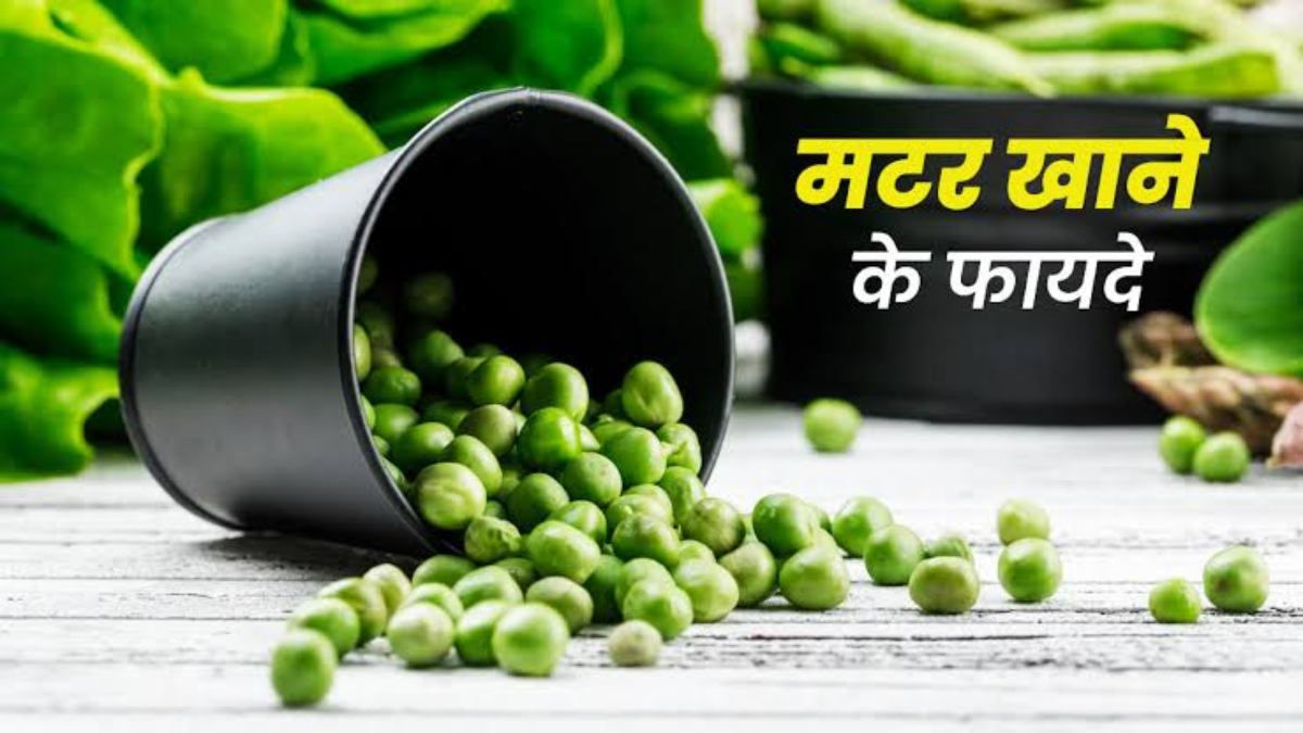 सर्दियों में खूब खाएं हरी मटर, कमजोरी करे दूर और पाचन बनाए बेहतर