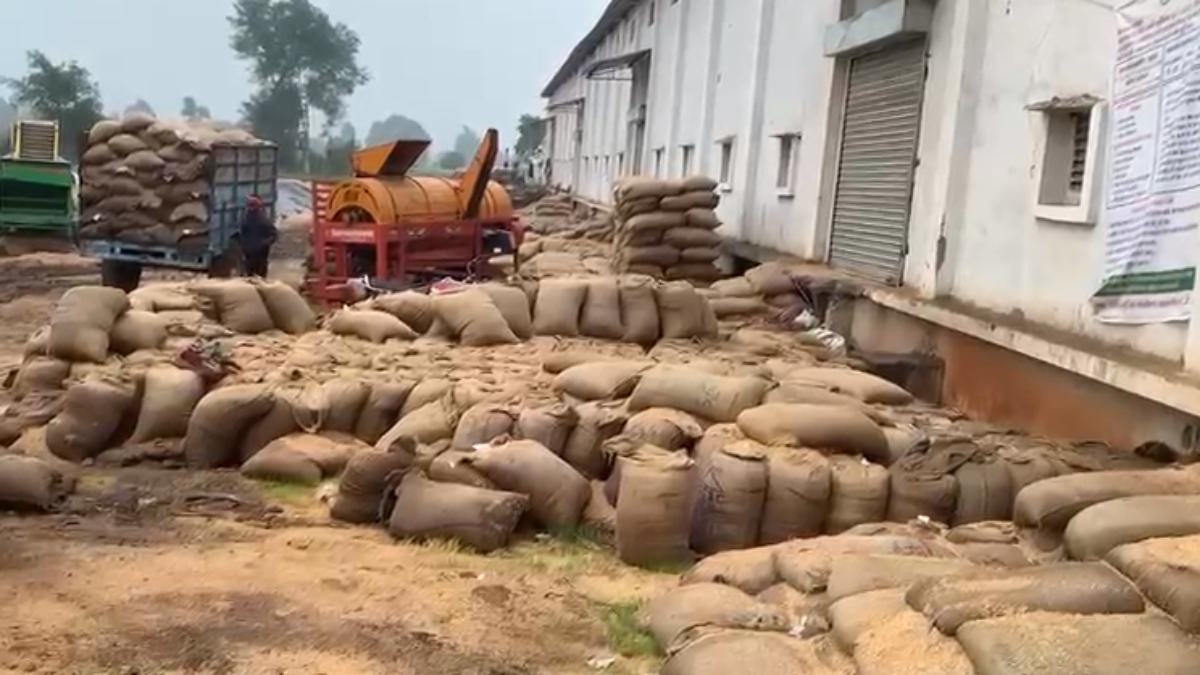 धान खरीदी घोटाला: एक और वेयरहाउस में गड़बड़ी,  96 हजार क्विंटल खरीदी थी दर्ज, मौके पर मिले सिर्फ 50 हजार क्विंटल