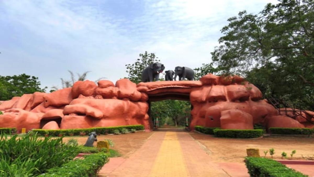 Odisha News : चंदका अभयारण्य आगंतुकों के लिए शुरू करेगा रात्रि सफारी