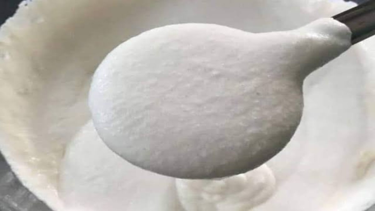 Kitchen Tips : ठंड के मौसम में इडली-डोसा बैटर में नहीं आता खमीर, तो इन टिप्स को करें Follow
