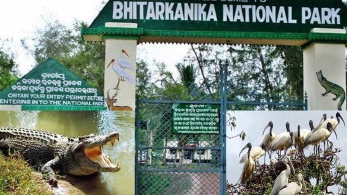 पर्यटकों के लिए फिर से खुला भितरकनिका राष्ट्रीय उद्यान