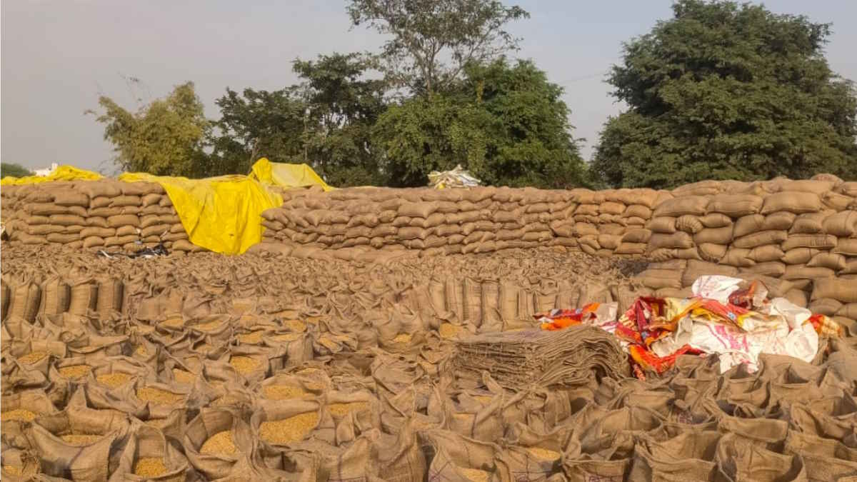 दर्जनभर धान खरीदी बंद होने के कगार पर, बारदाने की किल्लत और उठाव की धीमी गति बनी वजह, समिति कर्मचारी मांग रहे पड़ोसी जिलों का डीओ