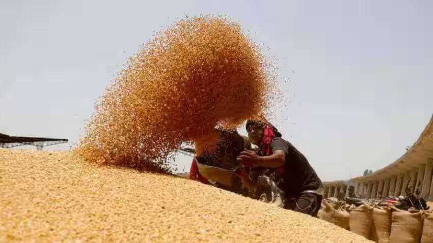 Rajasthan News: राजस्थान में 10 मार्च से शुरू होगी गेहूँ की सरकारी खरीद