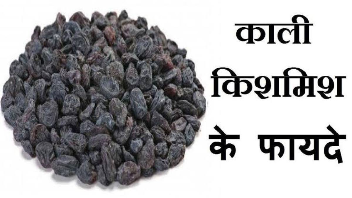 Benefits of Black Raisins : काली किशमिश कई बीमारियों का करती है इलाज, जानिए सेवन करने के फायदे