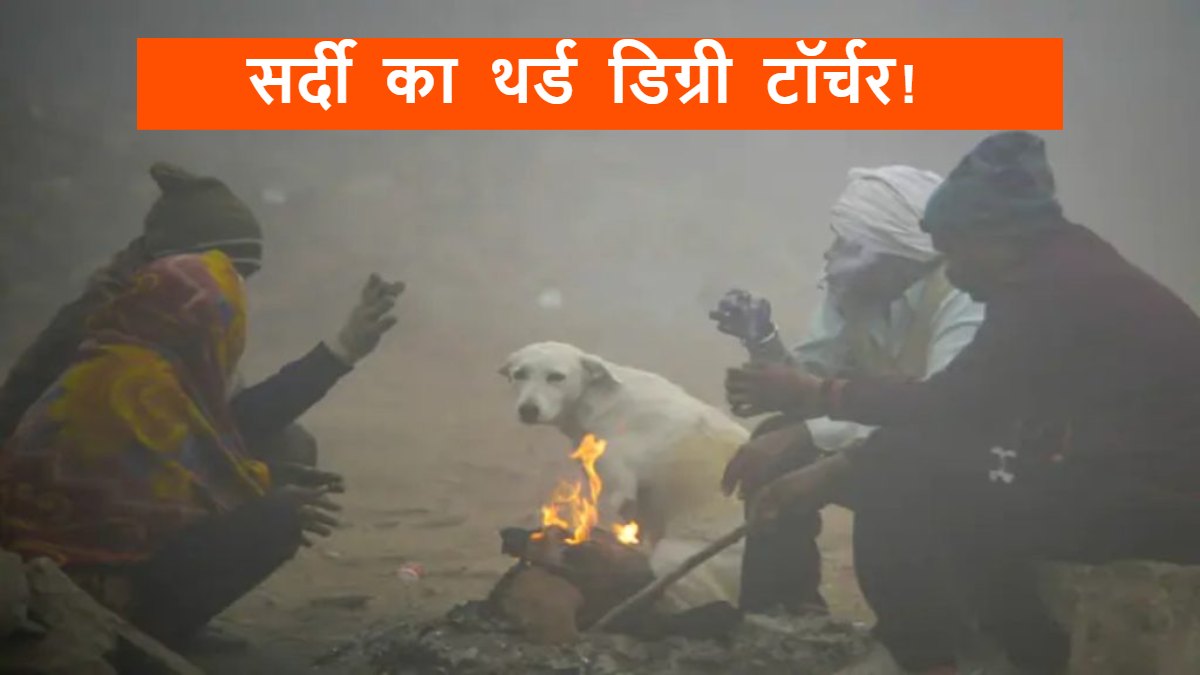 Today Weather Update: MP में सर्दी का थर्ड डिग्री टॉर्चर, न्यूनतम तापमान 3 डिग्री सेल्सियस, इन जिलों में बारिश का अलर्ट