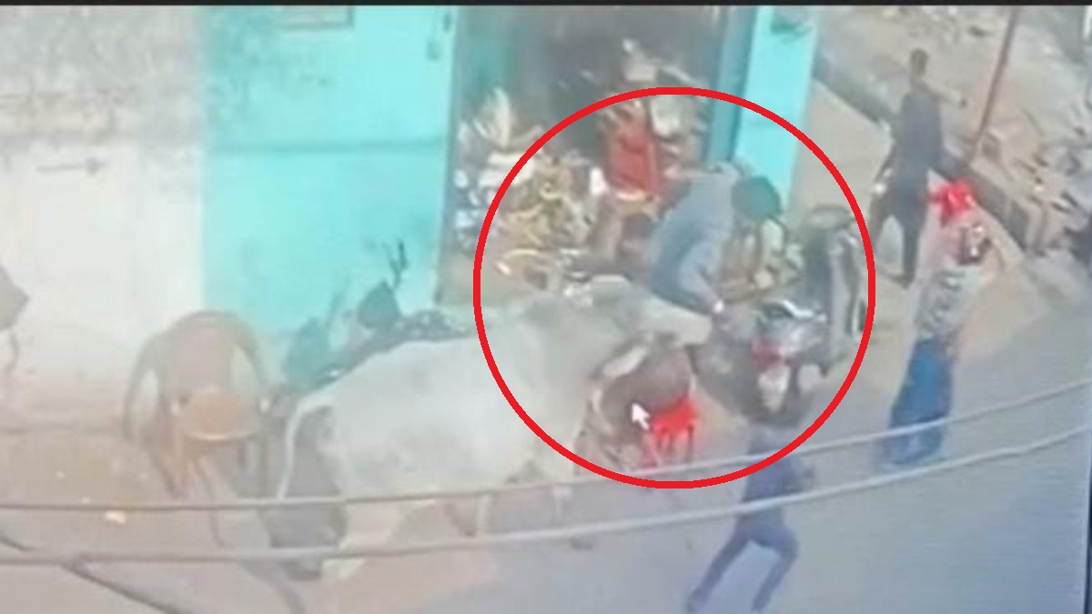 सिस्टम भी ‘आवारा’ ? बुजुर्ग को सांड ने 10 फीट उछालकर पटका, इलाज के दौरान मौत, रोंगटे खड़े कर देने वाला VIDEO आया सामने