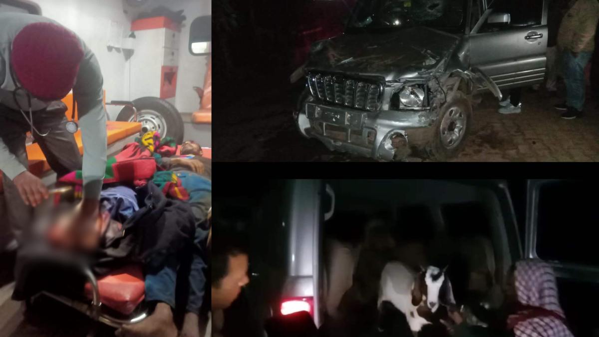 स्कॉर्पियो से बकरियों की चोरी: गांव वालों ने VIP चोर गिरोह को फिल्मी स्टाइल में की रोकने की कोशिश, हादसे में दो लोगों की मौत