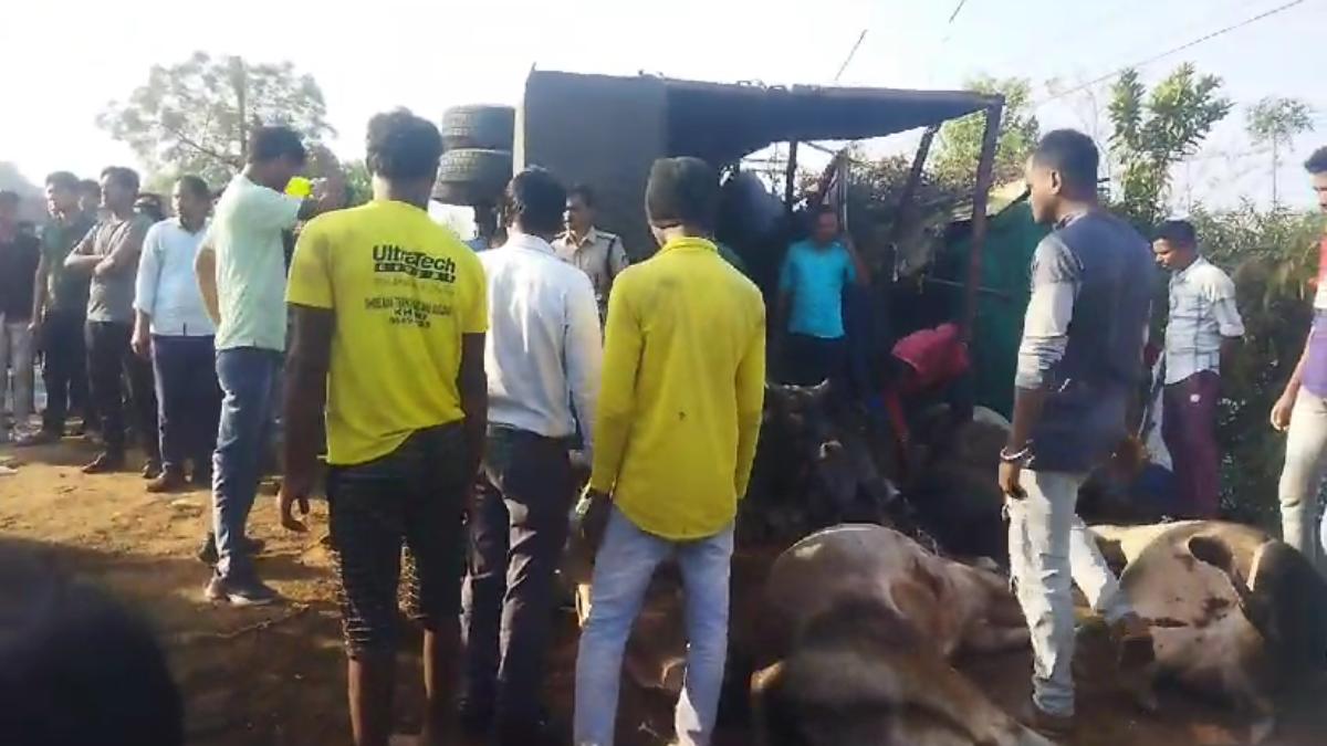 मवेशियों से भरा ट्रक पलटा: 18 की मौके पर ही मौत, 20 से अधिक घायल