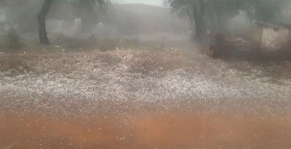 भाटापारा में हुई जम्मू-कश्मीर जैसी बर्फबारी… किसानों की फसल चौपट, देखें Video