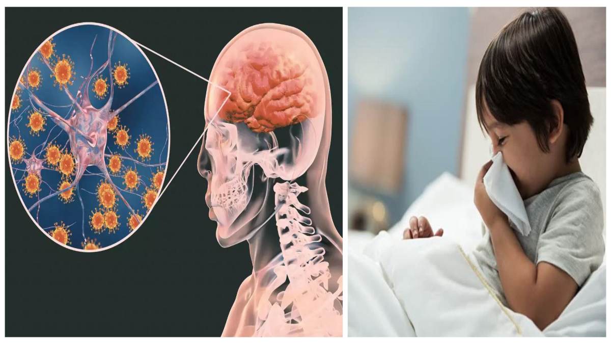 राजधानी में फैल रहा ‘जापानी इंसेफेलाइटिस’ वायरस: 6 से 10 साल के बच्चों में संक्रमण फैलने की आशंका, 27 फरवरी से लगेगी वैक्सीन