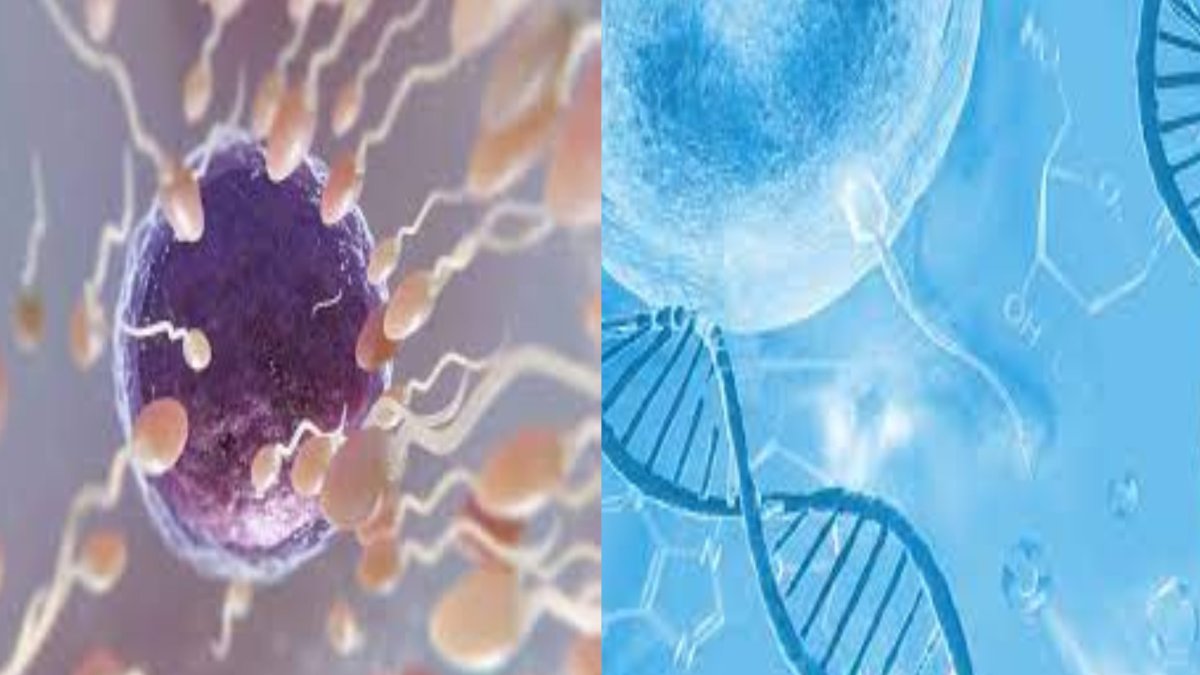 खराब लाइफस्टाइल से बदल रहा स्पर्म का DNA: गर्भपात का बड़ा कारण बन रहे पुरुष, जानिए इससे बचने के उपाय