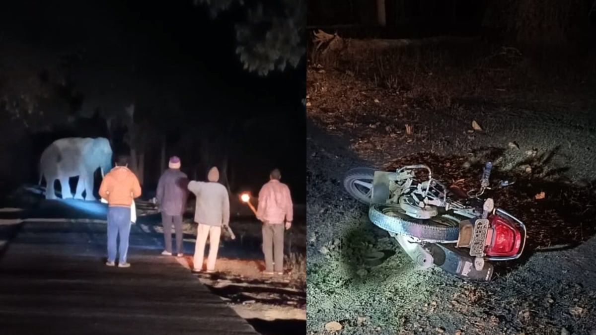 बाइक सवार परिवार पर हाथी का हमला: रेंजर ने बचाई पति-पत्नी और मासूम की जान, मोटरसाइकिल को कुचला