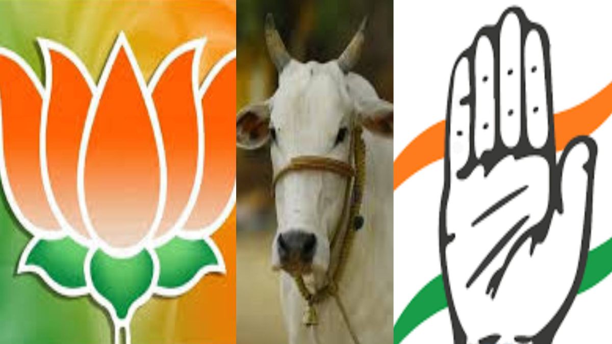 गौवंश संरक्षण पर राजनीति: Congress का तंज- बीजेपी का धर्म सिर्फ वोट की सियासत तक सीमित, BJP बोली- धार्मिक फैसलों से कांग्रेसियों के पेट में होता है दर्द