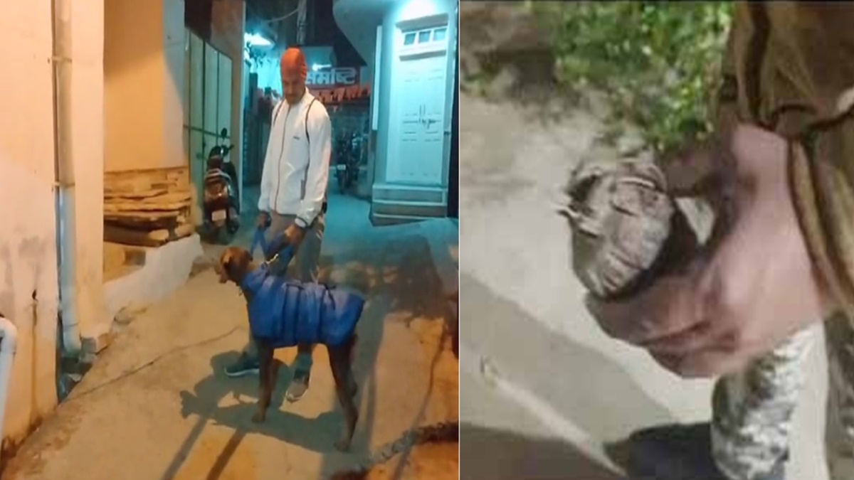 RSS कार्यालय में हैंड ग्रेनेड मिलने से मचा हड़कंप: गेंद समझकर खेल रहे थे बच्चे, स्निफर डॉग और बम डिस्पोजल टीम पहुंची