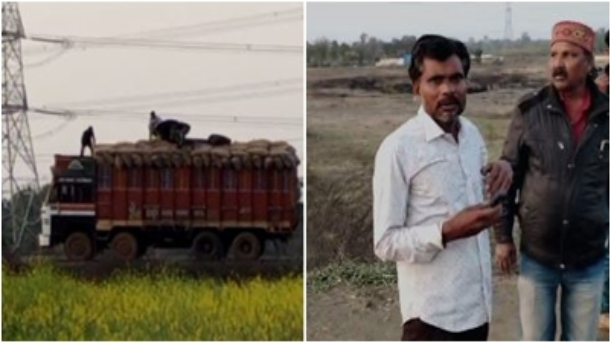 सरकारी अनाज की चोरी का VIDEO वायरल: ट्रक चालक और हेल्पर ने बीच सड़क वारदात को दिया अंजाम, वेयरहाउस संचालक ने की शिकायत   
