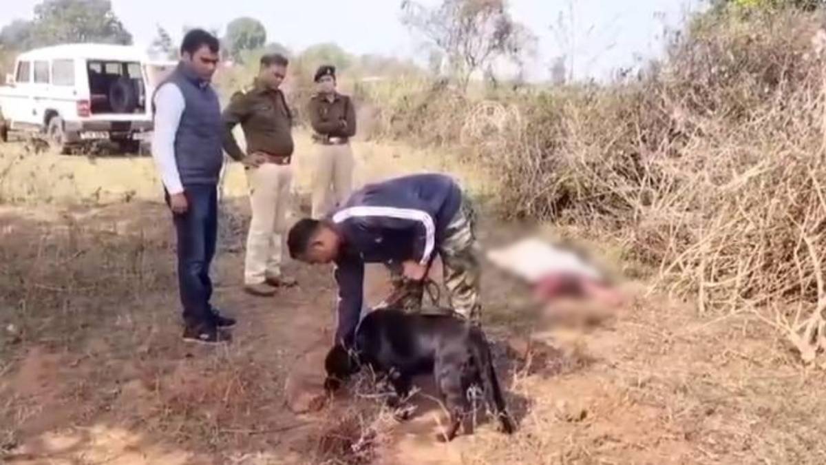 पत्थर से सिर कुचलकर महिला की निर्मम हत्या: खून से लथपथ मिली लाश, जांच में जुटी पुलिस