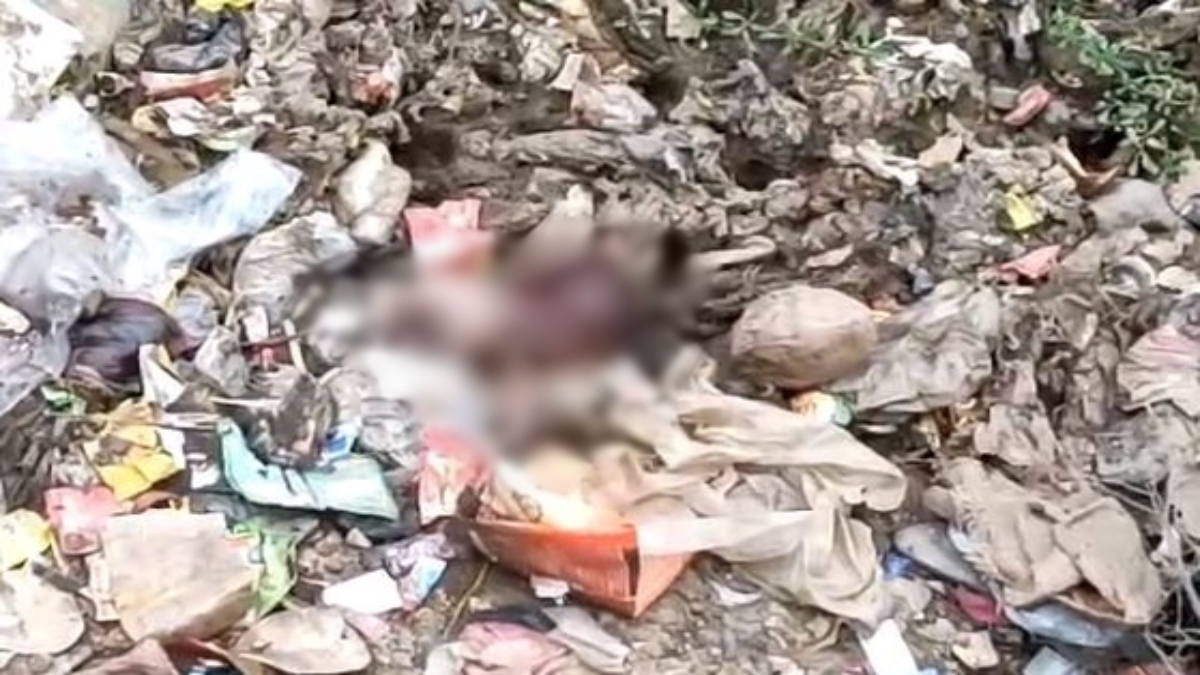 नाले में मिला नवजात शिशु का शव, क्षेत्र में फैली सनसनी, जांच में जुटी पुलिस 