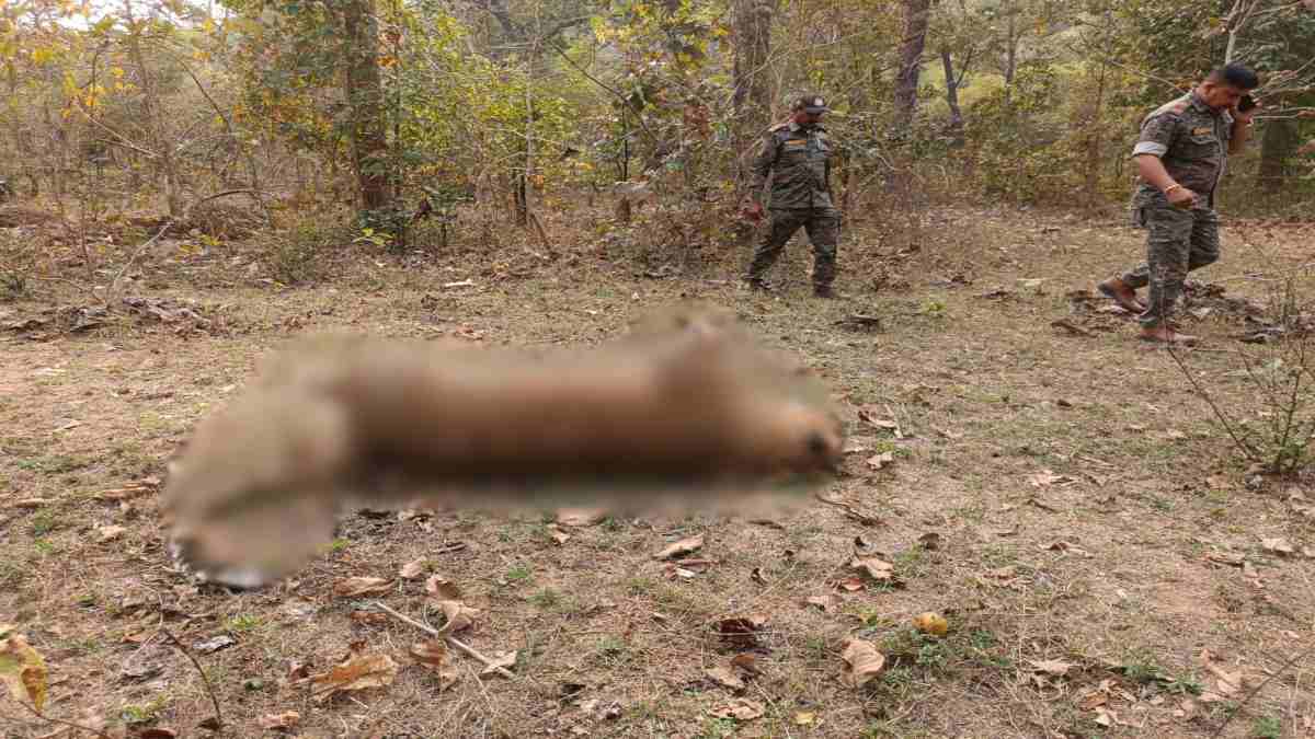 तेंदुए का शव मिलने से वन विभाग में मचा हड़कंप: मौके पर पहुंची टीम, पीएम के बाद होगा मौत का खुलासा