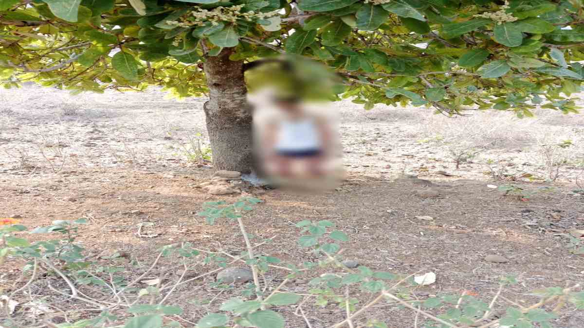 पेड़ पर लटकी मिली टीआई की लाश: हाल ही में हुआ था तबादला, हत्या या आत्महत्या में उलझी पुलिस