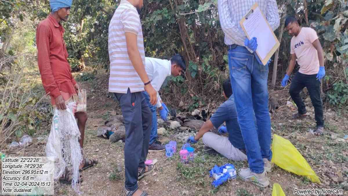 21 राष्ट्रीय पक्षी मोर का शव मिलने से मचा हड़कंप, फोरेंसिक रिपोर्ट के बाद होगा मौत का खुलासा