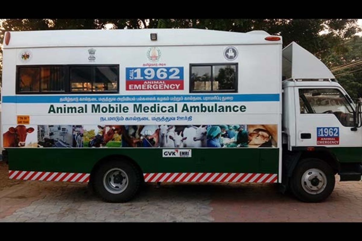 Animal Ambulance: घायल पड़े  कुत्‍ते या गाय को देख मुंह न फेरें, करें टोल फ्री नंबर 1962 पर कॉल, वहीं पहुंच जाएंगे डॉक्टर