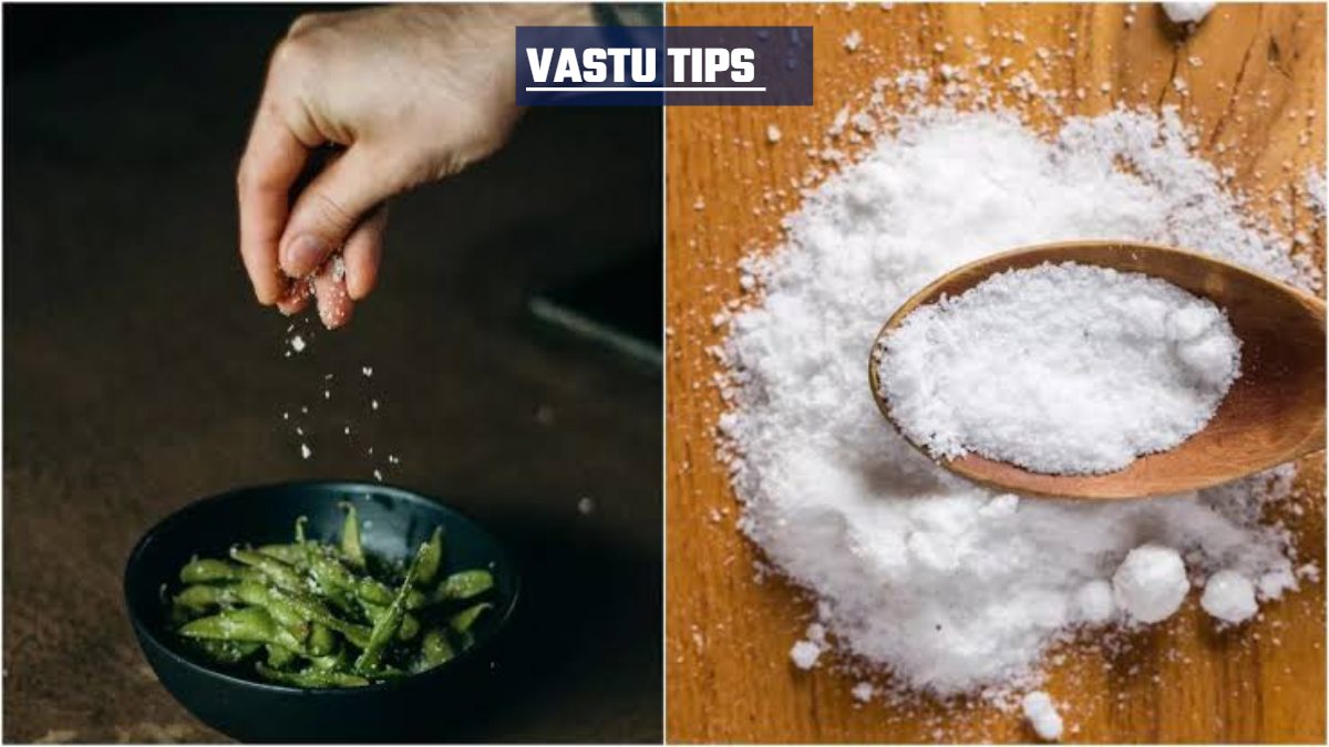 Vastu Tips For Salt: ज्योतिष शास्त्र में नमक का है विशेष महत्व, पितृदोष से है पीड़ित तो ऊपर से नमक का न करें इस्तेमाल