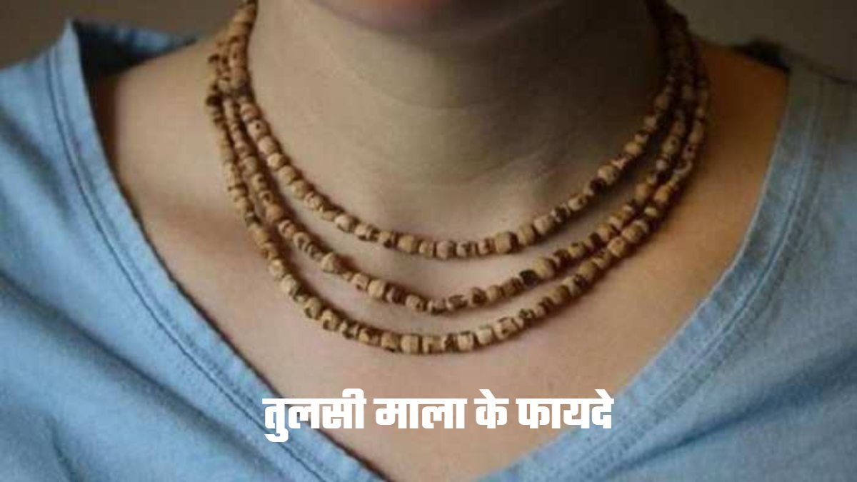 Tulsi Mala Ke Fayde: तुलसी माला पहनने से मिलते हैं कई शारीरिक और मानसिक फायदे, आइए जानें क्यों पहनना चाहिए इसे