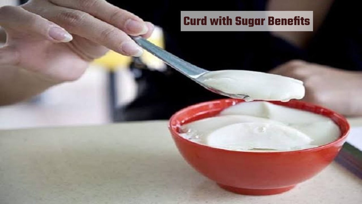 Curd with Sugar Benefits : घर से निकलते समय क्यों खिलाया जाता है दही-शक्कर? क्या आपको पता है इसका जवाब