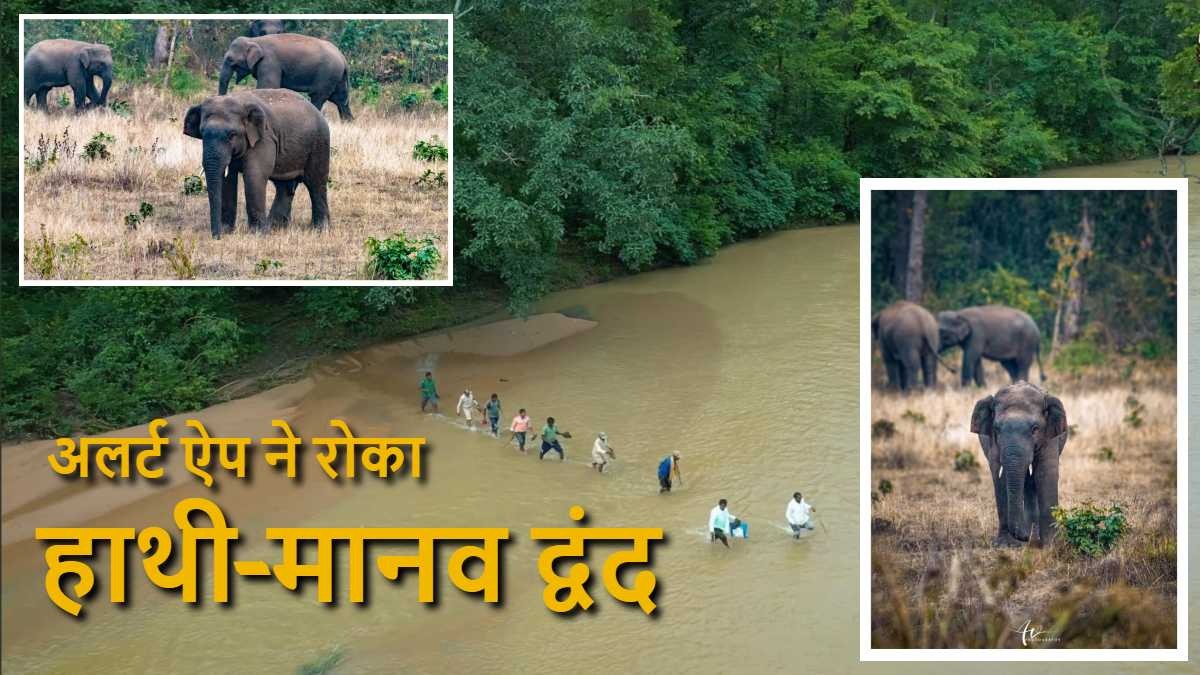 CG News : Elephant Alert App चालू होने से नहीं हो रही जनहानि, हाथियों का भी बढ़ रहा कुनबा