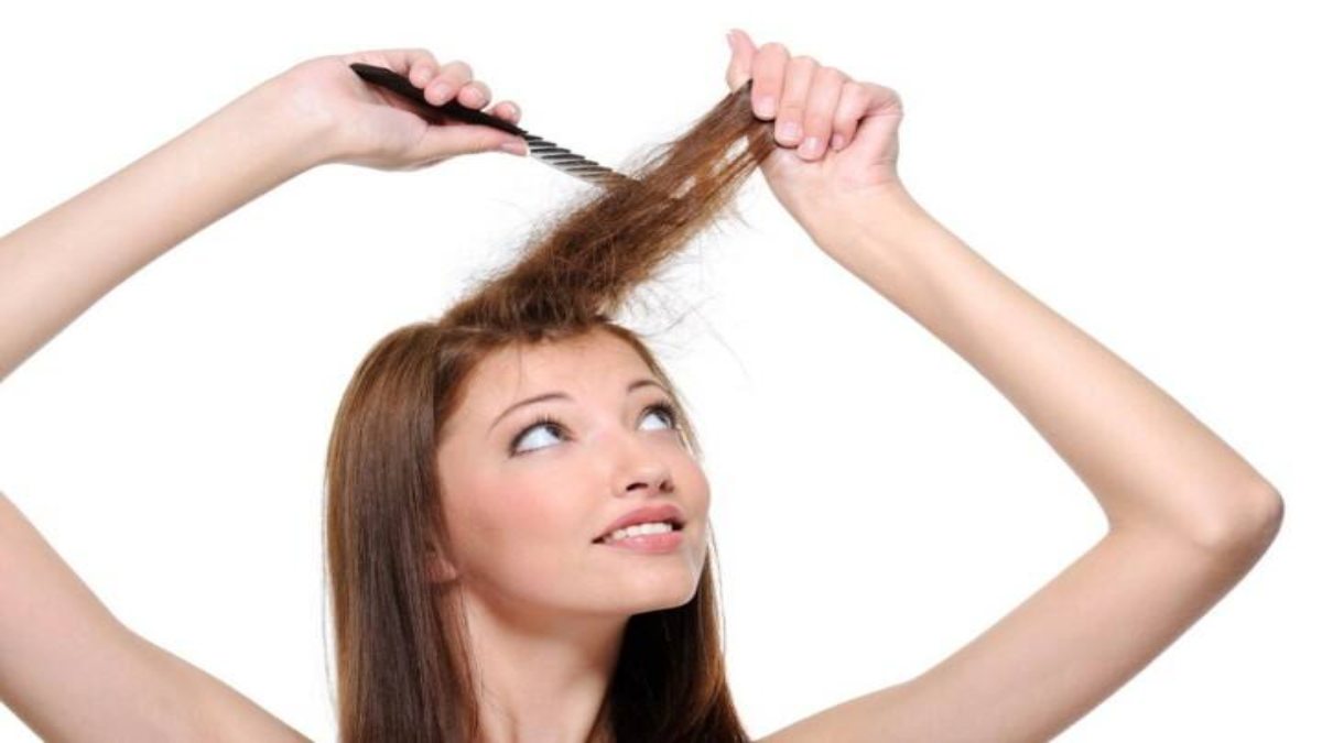 Hair Care Tips: आप भी हेयर स्टाइल के दौरान अक्सर करते हैं बैक कॉम्बिंग, तो पहले जान लें इससे बाल कितने होते हैं डैमेज…