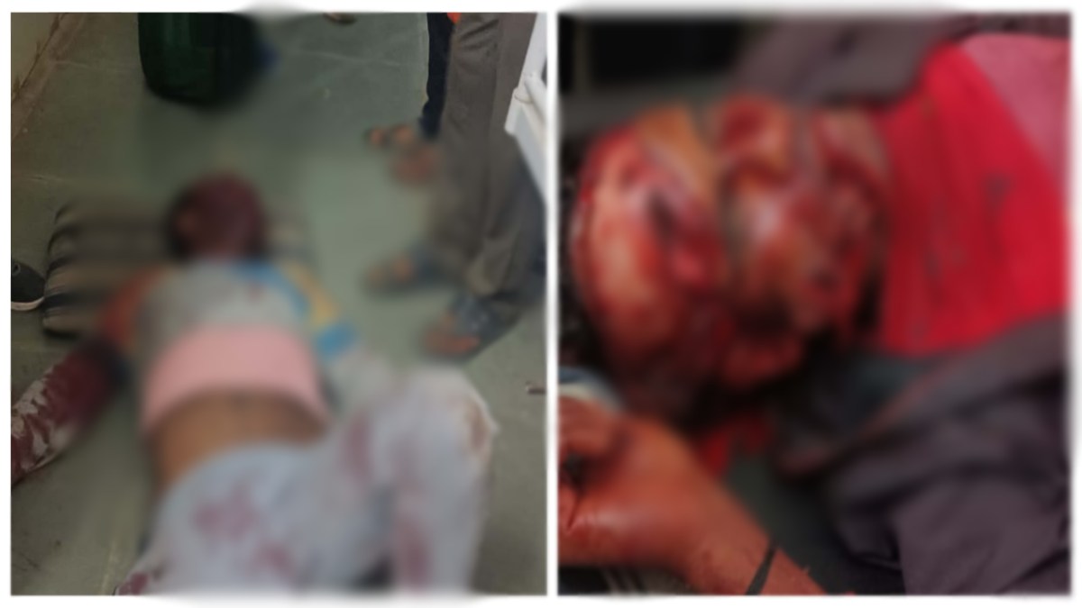 शादी के मंडप के लिए लकड़ी लेने गए ग्रामीणों पर भालू के झुंड ने किया हमला, दो गंभीर रूप से घायल