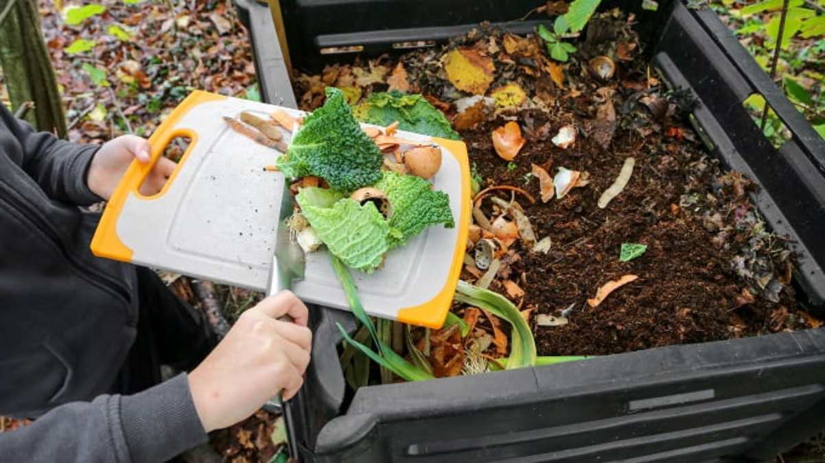 Gardening Tips : पेड़-पौधे की अच्छी ग्रोथ के लिए इनमें डाले फलों के छिलके की खाद, यहां जाने कैसे तैयार करें इनसे खाद और प्रयोग का तरीका …