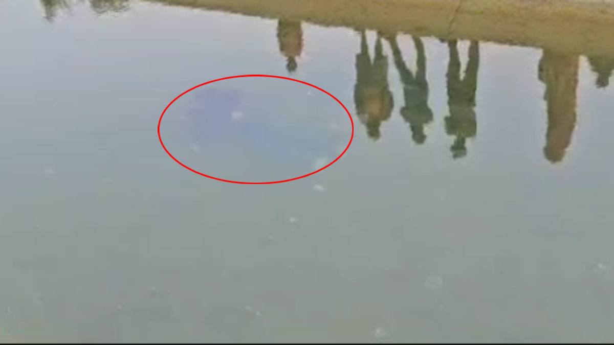 MP CRIME: संदिग्ध अवस्था में मिला युवक का शव, हत्या या आत्महत्या ? जांच में उलझी पुलिस