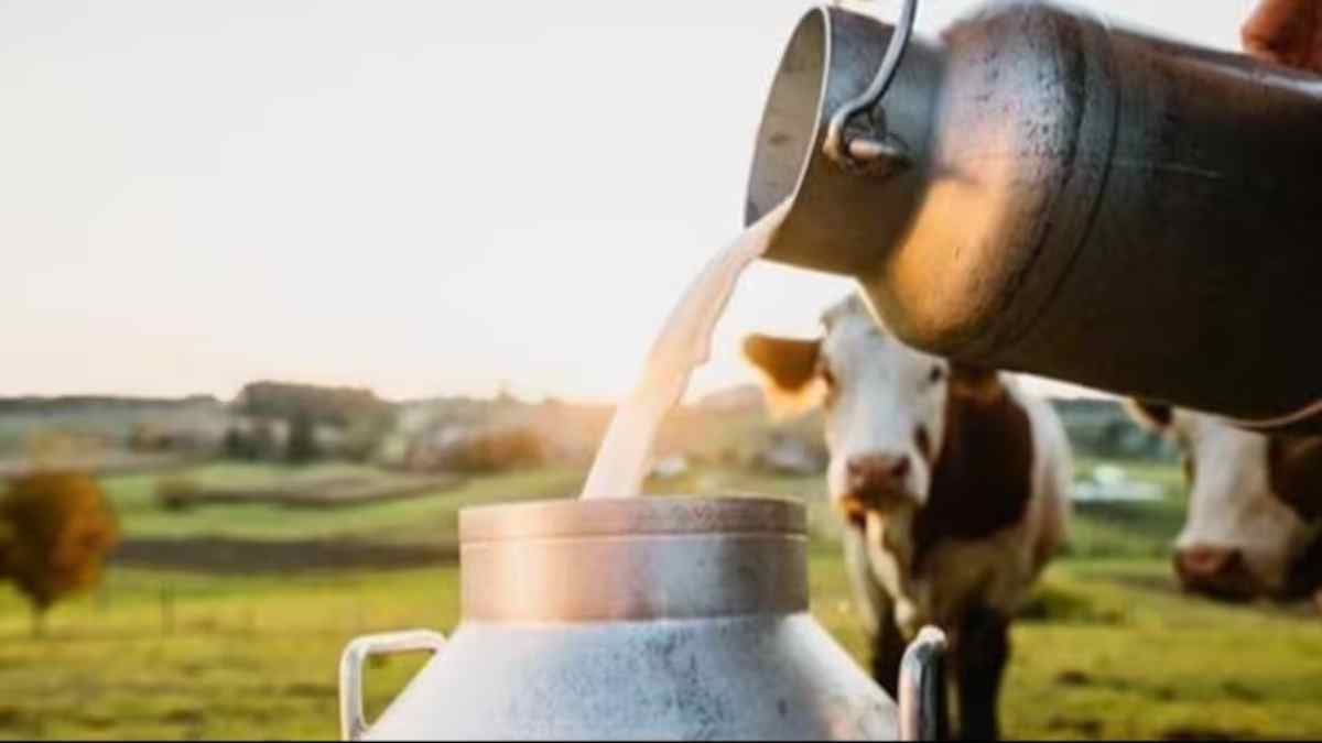 पशुपालकों के लिए खुशखबरी : दूध के न्यूनतम समर्थन मूल्य में होगी बढ़ोतरी, राज्य सरकार ने की घोषणा