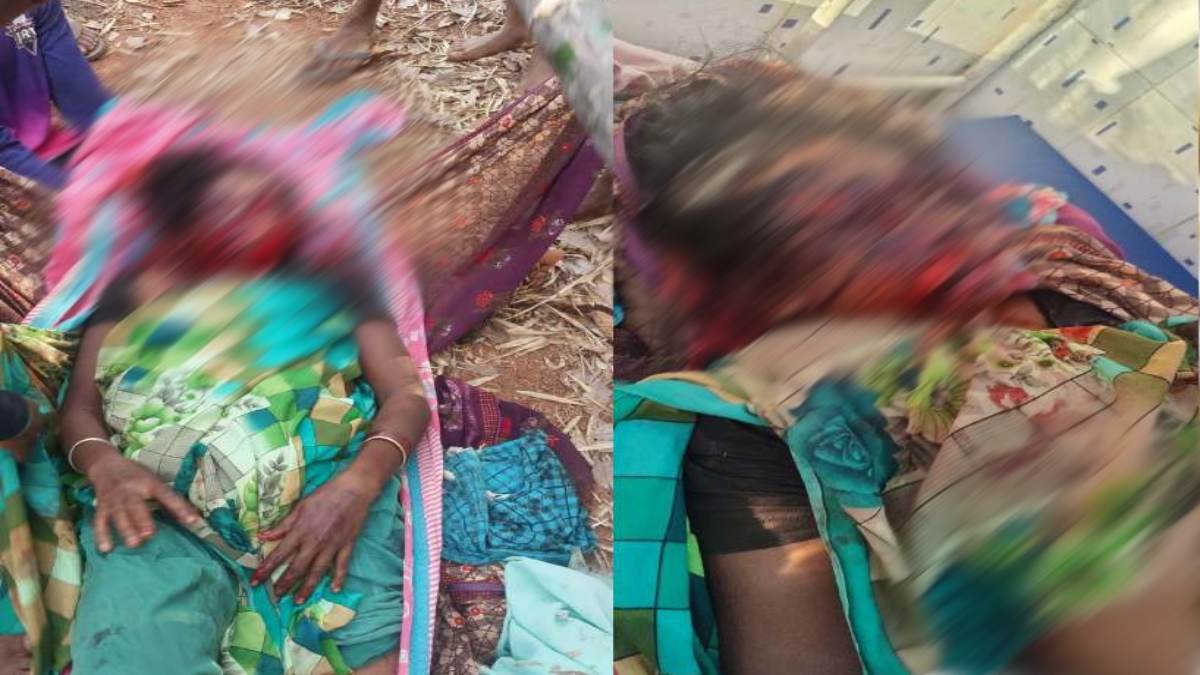 भालुओं का आतंक : जंगल गई महिला पर किया हमला, नोच ली दोनों आंखें और जबड़ा, हालत गंभीर