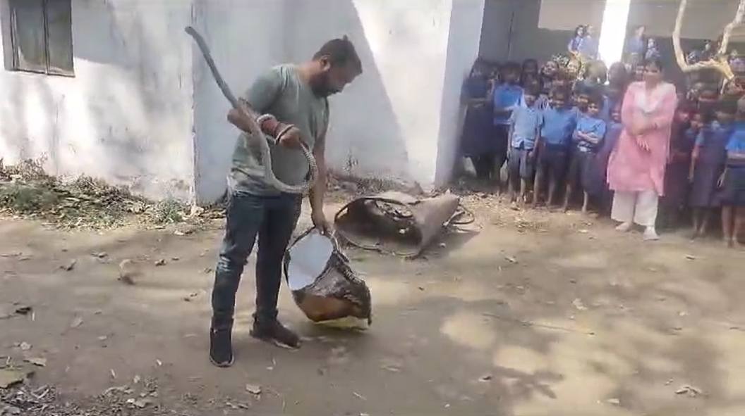 स्कूल के शौचालय में कुंडली मारे बैठा मिला 7 फिट लंबा सांप, बच्चों में मचा हड़कंप, देखें VIDEO …