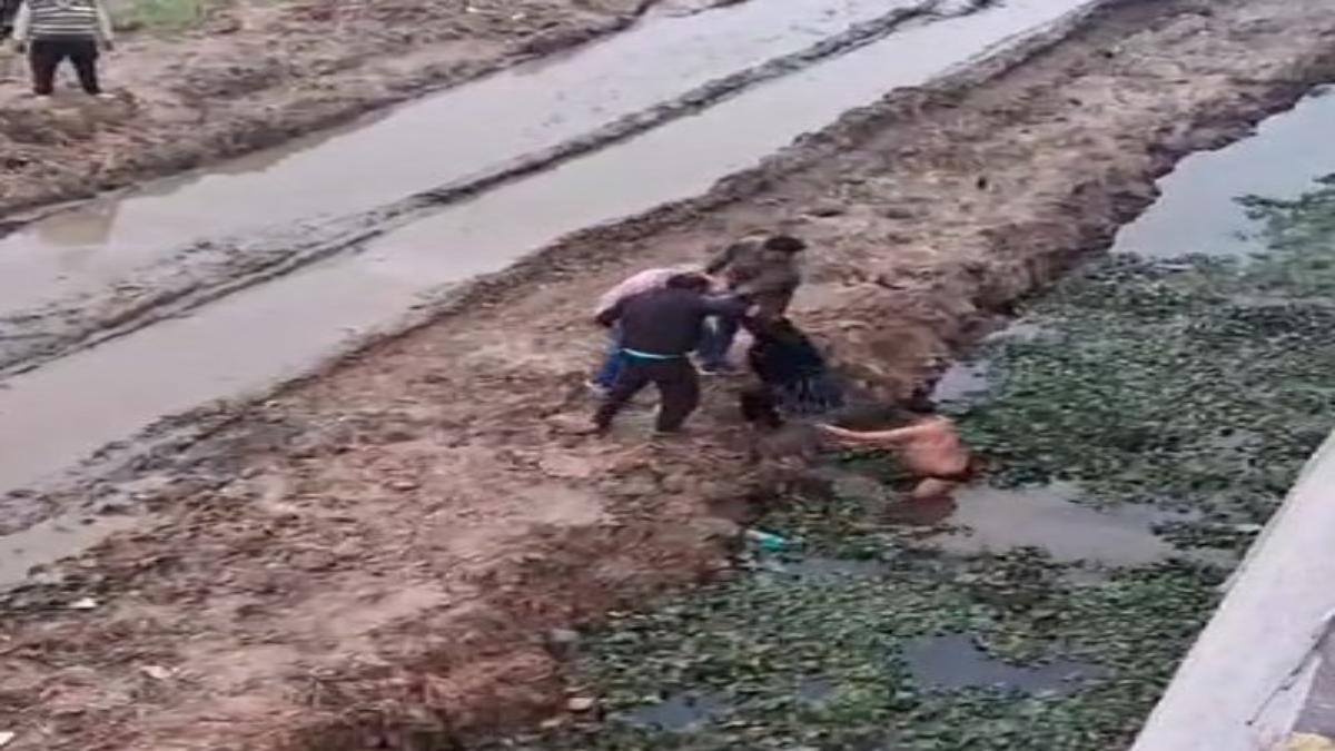 युवती ने झील में लगाई छलांग: मौके पर मौजूद लोगों ने बचाया, वीडियो आया सामने