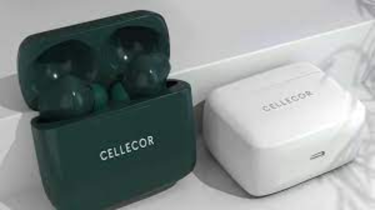 Cellecor Gadgets Share Price: सेलिकोर गैजेट्स के शेयर आपको बना देंगे लखपति, निवेशकों ने की 211 टका कमाई